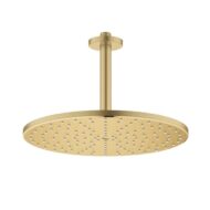 Grohe Rainshower regendouchekopset 1 straalsoort Ø310 mm cool sunrise geborsteld 26560GN0 Grohe Rainshower regendouchekopset 1 straalsoort Ø310 mm cool sunrise geborsteld 26560GN0