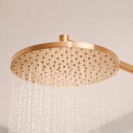 Hansa Viva regendouchekopset 1 straalsoort Ø250 mm brons geborsteld 4426020081 Hansa Viva regendouchekopset 1 straalsoort Ø250 mm brons geborsteld 4426020081