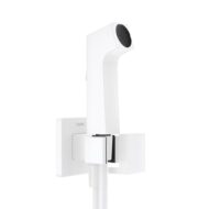 Hansgrohe Bidette Bidetdouche met EcoSmart mat-wit 29231700
