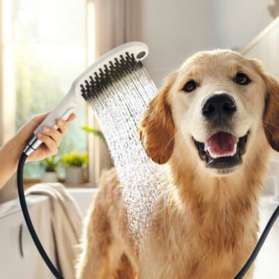 Hansgrohe DogShower Handdouche 3 straalsoorten mat-wit 26640700 7