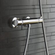 Hansgrohe Ecostat thermostaat voor douche 1 verbruiker chroom 13116000