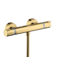 Hansgrohe Ecostat thermostaat voor douche 1 verbruiker goud 13116990
