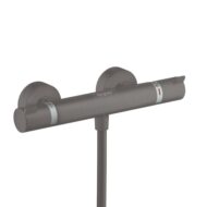 Hansgrohe Ecostat thermostaat voor douche 1 verbruiker zwart chroom geborsteld 13116340