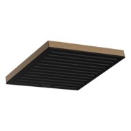 Hansgrohe Pulsify hoofddouche 1 straalsoort 260 x 260 mm brons geborsteld 24330140 Hansgrohe Pulsify hoofddouche 1 straalsoort 260 x 260 mm brons geborsteld 24330140