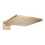 Hansgrohe Raindance E regendouchekopset 1 straalsoort 300 x 300 mm brons geborsteld 26238140 Hansgrohe Raindance E regendouchekopset 1 straalsoort 300 x 300 mm brons geborsteld 26238140