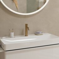 Hansgrohe Tecturis S wastafelkraan 110 CoolStart met EcoSmart brons geborsteld 73312140 Hansgrohe Tecturis S wastafelkraan 110 CoolStart met EcoSmart brons geborsteld 73312140