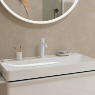 Hansgrohe Tecturis S wastafelkraan 110 CoolStart met EcoSmart mat-wit 73312700