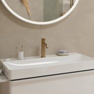 Hansgrohe Tecturis S wastafelkraan 110 CoolStart met EcoSmart met trekstang-afvoergarnituur brons geborsteld 73314140