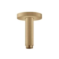 Hansgrohe Universele douchearm 100 mm brons geborsteld 27393140