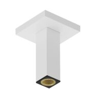 Hansgrohe Universele douchearm 100 mm mat-wit 24338700