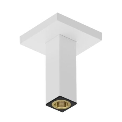 Hansgrohe Universele douchearm 100 mm mat-wit 24338700 6