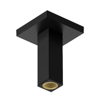 Hansgrohe Universele douchearm 100 mm mat-zwart 24338670 6