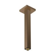 Hansgrohe Universele douchearm 300 mm brons geborsteld 24339140