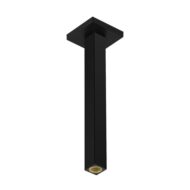 Hansgrohe Universele douchearm 300 mm mat-zwart 24339670