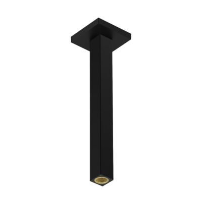 Hansgrohe Universele douchearm 300 mm mat-zwart 24339670 6