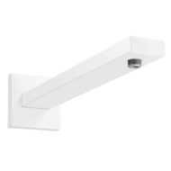 Hansgrohe Universele douchearm mat-wit 27694700