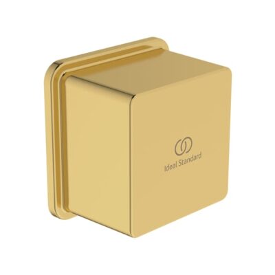 Ideal Standard Idealrain Atelier slangverbinding goud geborsteld BC772A2 5