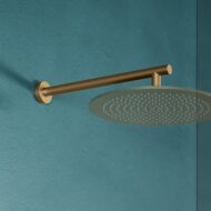 Villeroy & Boch Universal Showers douchearm goud geborsteld TVC00045351076