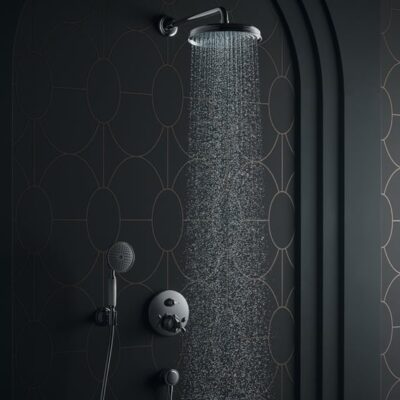 Axor Montreux retro handdouche chroom 100mm RainAir met vuilopvangzeef 16l/min 16320000 6