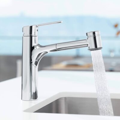 Hansa Hansaronda draaibare uittrekbare chroom keukenkraan 3382273 4