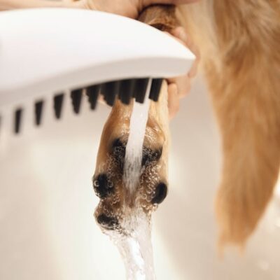 Hansgrohe DogShower Handdouche 3 straalsoorten mat-wit 26640700 4