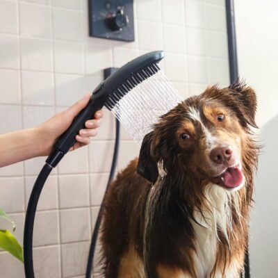 Hansgrohe DogShower Handdouche 3 straalsoorten mat-zwart 26640670 4