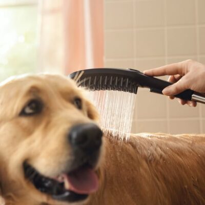 Hansgrohe DogShower Handdouche 3 straalsoorten mat-zwart 26640670 5