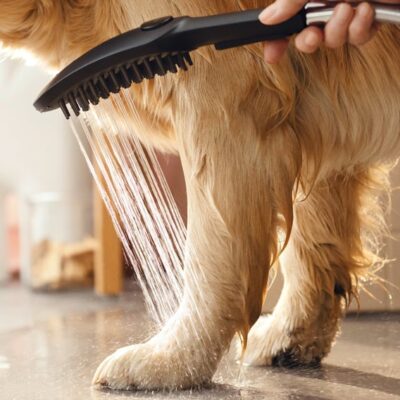 Hansgrohe DogShower Handdouche 3 straalsoorten mat-zwart 26640670 6