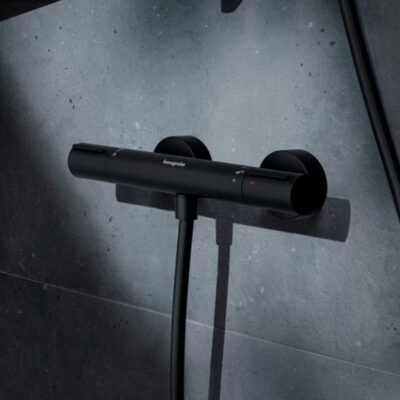 Hansgrohe Ecostat Element thermostaat voor douche 1 verbruiker mat-zwart 13346670 6