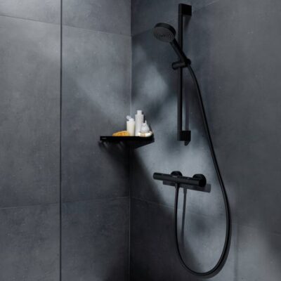 Hansgrohe Ecostat Element thermostaat voor douche 1 verbruiker mat-zwart 13346670 7