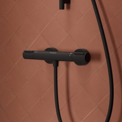 Hansgrohe Ecostat Element thermostaat voor douche 1 verbruiker mat-zwart 13346670 8
