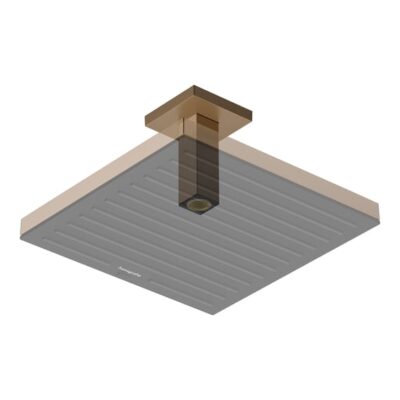 Hansgrohe Universele douchearm 100 mm brons geborsteld 24338140 4