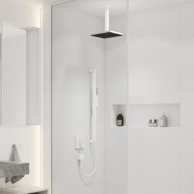 Hansgrohe Universele douchearm 300 mm mat-wit 24339700 5