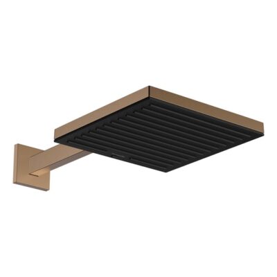 Hansgrohe Universele douchearm brons geborsteld 24337140 5