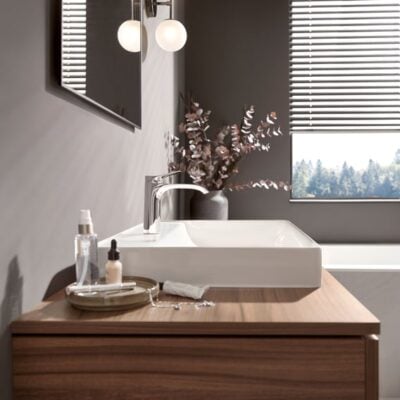 Hansgrohe Vivenis eengreeps wastafelmengkraan chroom – dichte greep niet-thermostatisch 75022000 4