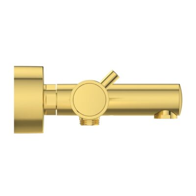 Ideal Standard Ceratherm T125 opbouw bad thermostaatkraan 2 verbruikers goud geborsteld A7588A2 6