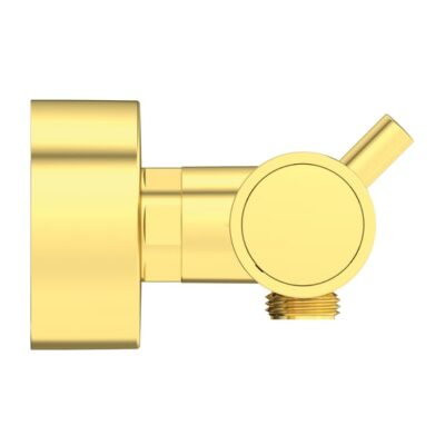 Ideal Standard Ceratherm T125 thermostaat voor douche 1 verbruiker goud geborsteld A7587A2 7