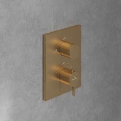 Villeroy & Boch Conum thermostaat voor douche 1 verbruiker goud geborsteld TVS12700100076 9
